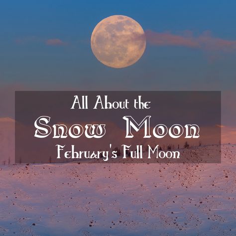 February Full Moon, Snow Moon, Moon Magick, Moon Journal, Alternative Names, Removing Negative Energy, Astral Travel, Rose Trees, Crystal Healing Stones