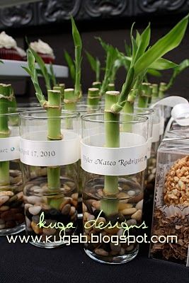 Wedding Souvenirs Diy, Bamboo Wedding, Trendy Wedding Favors, Succulent Centerpieces, Lucky Bamboo, Wedding Favors Cheap, Beach Wedding Favors, Wedding Gifts For Guests, Diy Wedding Favors