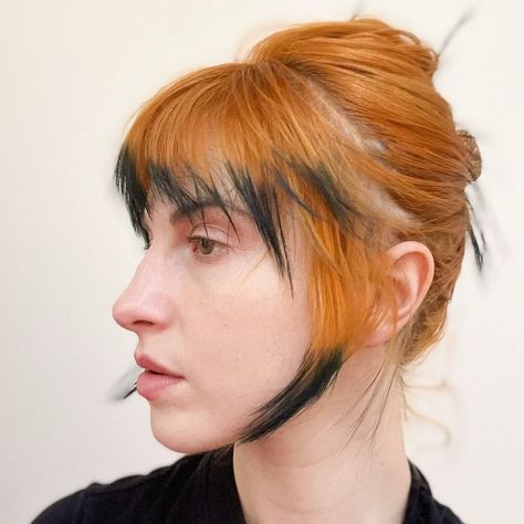 Haley Williams Hair, Dyed Bangs, Graduation Hairstyles With Cap, Color Block Hair, Dip Dye Hair, Extension Hair, Hair Specialist, Hayley Williams, Hair Stuff