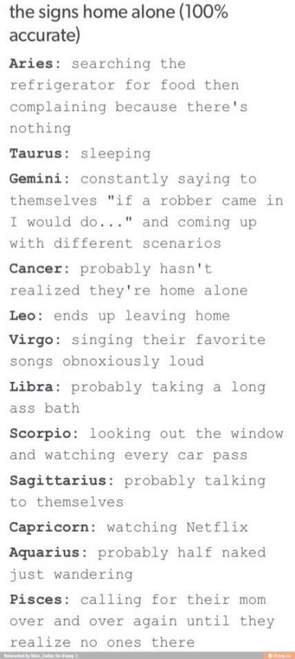 Zodiac Signs Funny Humor So True, Funny Zodiac, Zodiac Funny, Zodiac Sign Traits, Zodiac Stuff, Zodiac Society, Budget Planer, Aries Taurus, Zodiac Signs Horoscope