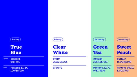 Presentation Color Scheme, Campaign Color Palette, Colour Palette Moodboard, Clean Colour Palette, Secondary Color Palette, Color Palette Web Design, Wellness Color Palette, Corporate Color Palette, Ui Color Palette