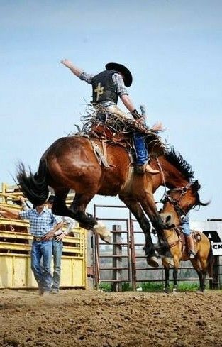 Horse Bucking With Rider, Saddle Bronc Riding, Bronco Horse, Cowboy Photography, Saddle Bronc, Horse Reference, Bucking Bulls, Calf Roping, Bronc Riding