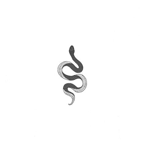 Simplistic Snake Tattoo, Snake Tattoo Patchwork, Snake Aesthetic Tattoo, Tulum Tattoo Ideas, Small Serpent Tattoo, Small Snake Tattoo Men, Snake Small Tattoo, Snake Patchwork Tattoo, English Tattoo Ideas