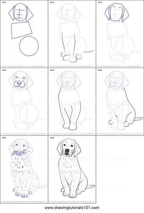 Draw Golden Retriever, Dog Retriever, Dog Drawing Tutorial, Draw A Dog, Animal Illustration Art, Animal Drawings Sketches, Drawing Sheet, Arte Van Gogh, 강아지 그림