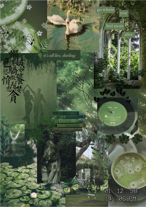 Forest green moody collage, aesthetic Light Forest Green Aesthetic, Forest Green Wallpaper Aesthetic, Pine Green Aesthetic, Forest Moodboard Aesthetic, Forest Aesthetic Bedroom, Forest Moodboard, Forest Green Aesthetic, Forest Aesthetic Collage, Green Aesthetic Collage