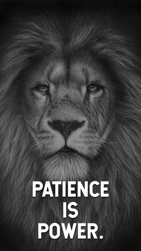 #wallpaper #quotes Patience Is Power Wallpaper, Patience Wallpaper, Sigma Attitude, Patience Is Power, Lion Quote, Powerful Motivational Quotes For Success, Dangerous Quotes, Karate Quotes, Mafia Quote