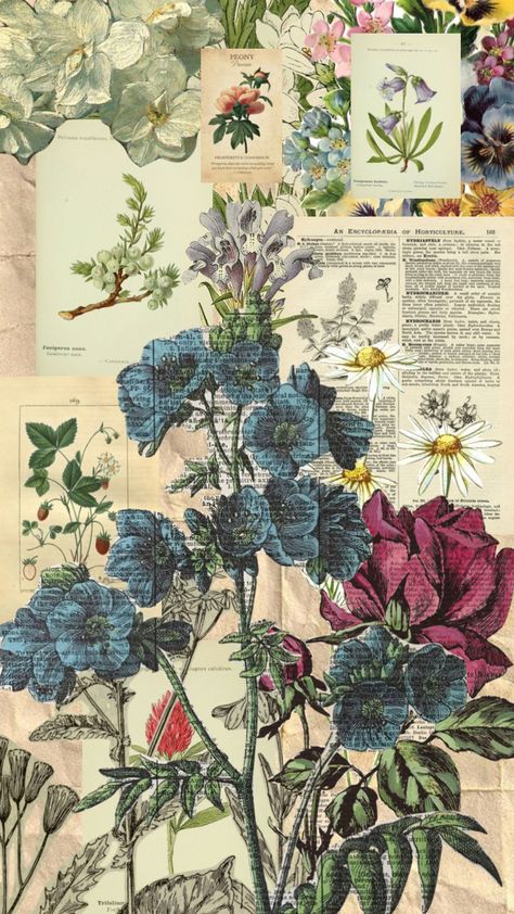 Aesthetic Plant Pictures For Wall Collage, Plant Flowers Aesthetic, Botany Books Aesthetic, Herbalist Aesthetic Wallpaper, Plant Aesthetic Collage, Vintage Plants Aesthetic, Vintage Science Background, Flower Wallpaper Collage, English Collage Aesthetic