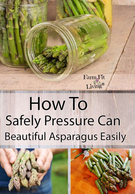 Do you need a different way to use or preserve asparagus? Here is how to safely pressure can beautiful asparagus easily. #homesteading #canning #foodpreservation #asparagus Preserving Fresh Asparagus, How To Can Asparagus, Homesteading Canning, Canning Asparagus, Canning Garden, Canning Pressure Cooker, Homestead Diy, Canning Granny, Pressure Canning Recipes