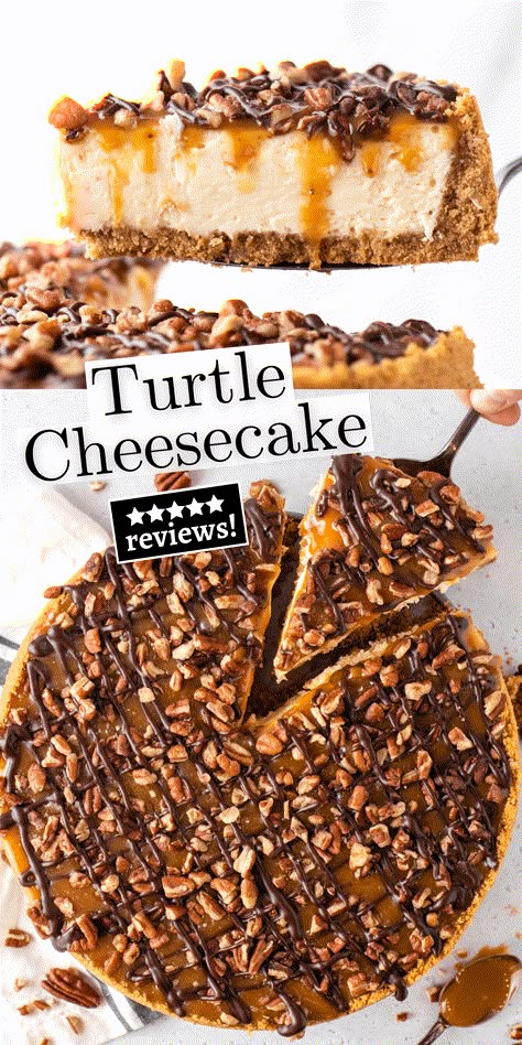 Take 5 Cheesecake, Bakeless Cheesecake Recipes, Turtle Cheesecake Recipe Easy, Turtle Desserts, No Bake Turtle Cheesecake, Chocolate Turtle Cheesecake, Strawberry Cheesecake Cake Recipe, Turtle Cheesecake Recipe, Caramel Chocolate Ganache