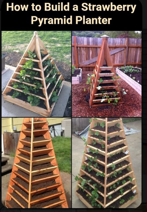 Strawberry Pyramid, Pyramid Planter, Strawberry Planter, Strawberry Patch, Diy Garden Projects, Gardening Plants, Gardening Landscaping, Veggie Garden, Garden Stuff