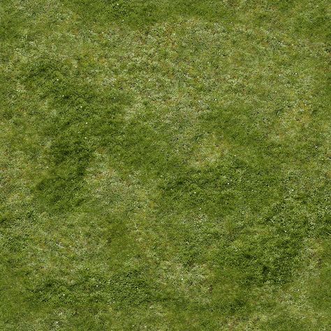 grass Grass Texture Photoshop Architecture, Grass Texture Seamless, Pavement Texture, Grass Photoshop, Landscape Texture, Grass Photo, 숲 사진, Grass Texture, Tree Photoshop