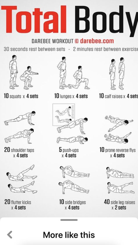 Body Weight Full Body Workout, Calisthenics Workout At Home, Calisthenics Workout Routine, Stamina Workout, Calisthenics Workout Plan, Boxing Training Workout, Gym Workout Guide, Workout Program Gym, Gym Workout Planner