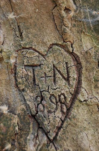 Love on a tree 1950s Valentines, Tree Heart, Carved Heart, Tree Carving, Interesting Photos, Diy Life, View Image, Country Wedding, A Tree