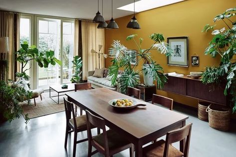 Mustard Yellow Walls, Yellow Dining Room, Yellow Living Room, London Home, Yellow Walls, Notting Hill, Recycled Furniture, Front Room, Living Room Inspiration