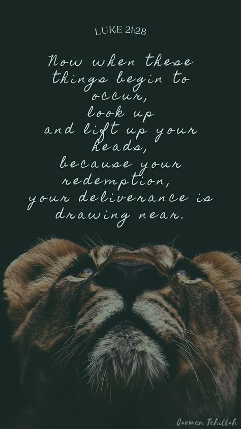 Luke 21, Look Up Your Redemption Draws Near, Deliverance Quotes, Luke Aesthetic, Luke Bible Verses, Redemption Scripture, Redemption Quotes, Luke 15:7 Bible Verse, Repentance Quotes