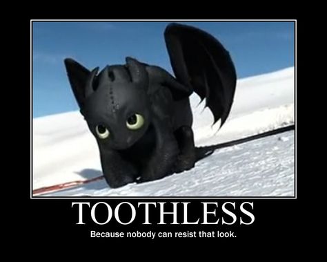 Httyd Funny, Toothless And Stitch, Toothless Dragon, Hiccup And Toothless, Dragon Memes, Dreamworks Dragons, Httyd Dragons, Film Anime, Dragon Trainer