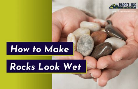 How to Make Rocks Look Wet? (6 EASY Tips) Resin Rocks Diy, How To Make Rocks Shiny, How To Polish Rocks By Hand, How To Clean Rocks, How To Display Rocks, Polishing Rocks, Rock Tumbler Diy, Beach Rocks Crafts, How To Polish Rocks