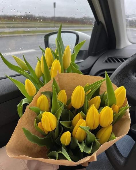 Tulips Meaning, Flower Boquet, Planting Tulips, Tulip Bouquet, Yellow Tulips, Flower Therapy, Yellow Aesthetic, Spring Home Decor, Gardening Fork