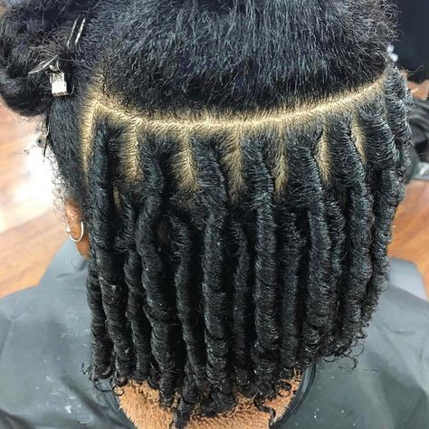 890 Likes, 5 Comments - Healthy Hair Goals  (@healthy_hair_goals) on Instagram: “#Repost @prettylocstorii ・・・ Starter Locs ” Healthy Hair Goals, Finger Coils Natural Hair, Coiling Natural Hair, Natural Hair Twist Out, Starter Locs, Hair Coils, Natural Hair Twists, Pelo Afro, Corte De Cabelo Masculino