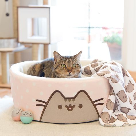 PUSHEEN cat toys and bed! This is so awesome!!! Pusheen Collection, Diy Chat, Pusheen The Cat, Burmilla, Pusheen Cute, Pusheen Cat, Ideal Toys, Small Cat, Cat Room