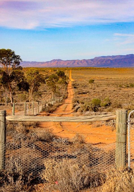 Outback track (South Australia) by Georgie Sharp Australian Scenery, Aussie Outback, Australia Outback, Flinders Ranges, Australia Landscape, Australian Photography, Australian Landscape, Coral Sea, Australian Outback