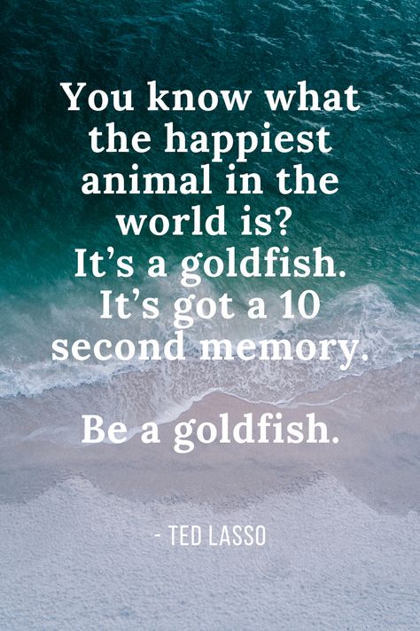 Ted Lasso Goldfish Quote, Be A Goldfish Ted Lasso Wallpaper, Ted Lasso Motivational Quotes, Goldfish Quotes, Be A Goldfish Ted Lasso, Ted Lasso Wallpaper, Ted Lasso Quotes, Ted Quotes, Happiest Animal