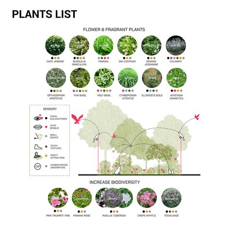 Gallery of Come on, Calm on / Shma - 19 Planting Strategy Landscape Architecture, Plant List Landscape Design, Landscape Zoning Diagram, Plant Palette Landscape Architecture, Landscape Analysis Diagram, Shma Landscape, Landscape Architecture Layout, Vegetation Analysis, Landscape Concept Diagram