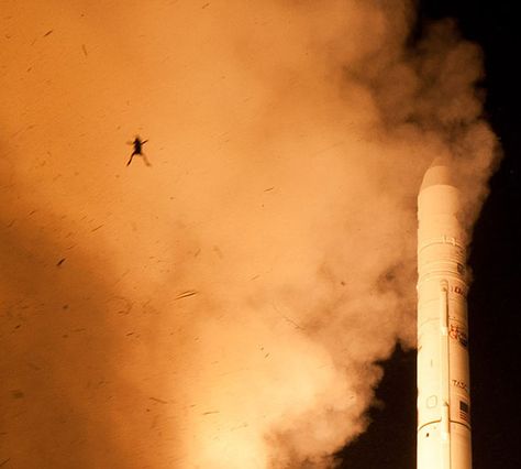 Frog Photobombs NASA Launch Photo Nasa Launch, Nasa Photos, Spacecraft, Amazing Photography, Nasa, Pop Culture, Product Launch, Frame, Animals