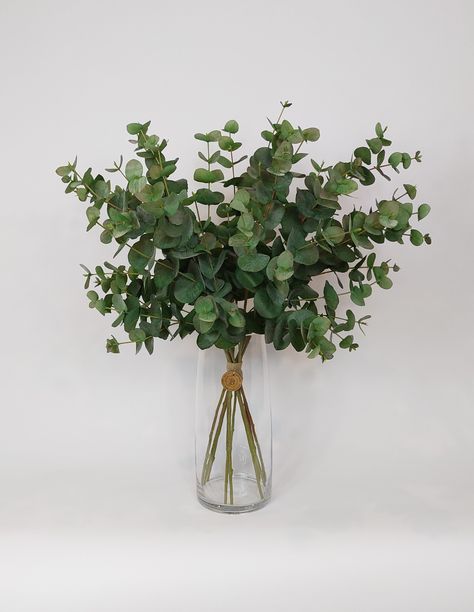 Sometimes Eucalyptus is all you need. Our Matilda bouquet consists of 10 full Eucalyptus stems in a clear glass vase. A true statement, and suitable for any location. Eucalyptus Arrangement, Eucalyptus Centerpiece, Stem Bouquet, Bedroom Board, Eucalyptus Stems, Eucalyptus Bouquet, Dried Eucalyptus, Clear Glass Vase, Artificial Eucalyptus