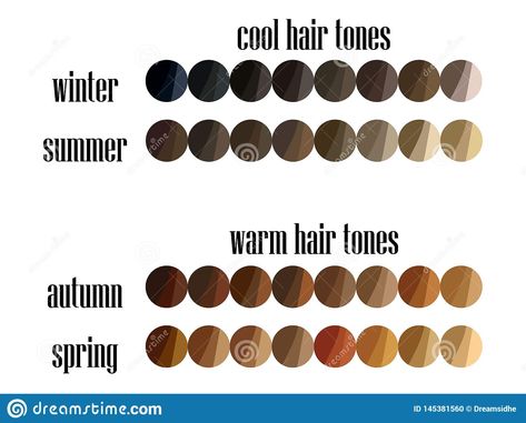 Illustration about Stock vector seasonal color analysis hair colors palette for all types of female appearance. Illustration of clear, light, dark - 145381560 Hair Colors Palette, Best Lipstick Color, Perfect Hair Color, Cool Skin Tone, Hair Color Chart, Seasonal Color Analysis, Hair Color Purple, Colors Palette, Deep Winter