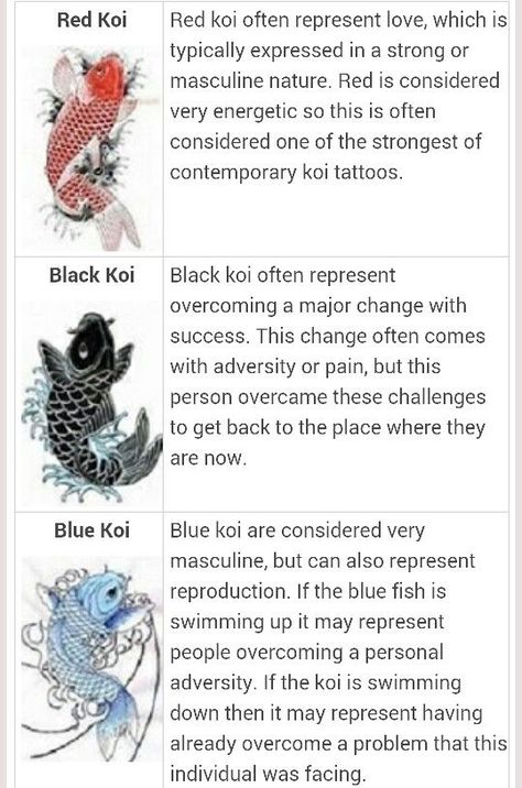 Pin on Galleries Japanese Tattoos, Karp Koi, Tato Ikan Koi, Tato Dengan Makna, Koi Tattoo Design, Blue Koi, Ikan Koi, Koi Tattoo, Koi Fish Tattoo