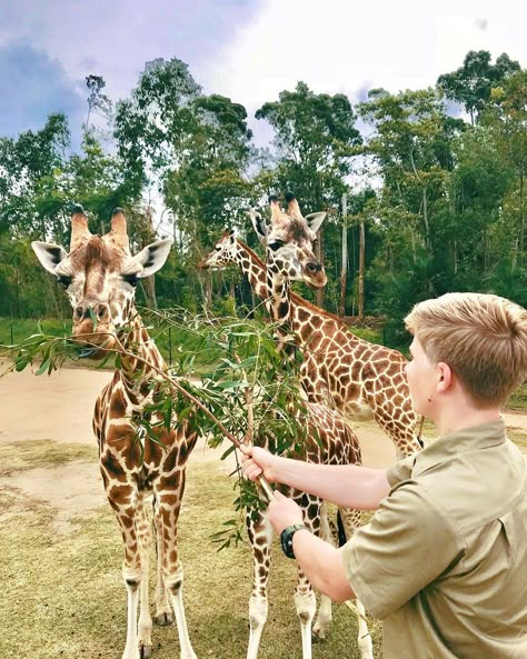 Robert Irwin Wallpaper, Hippo Enclosure, Wildlife Biology, Irwin Family, Robert Irwin, Australia Bucket List, Dubai Safari, Crocodile Hunter, Bindi Irwin