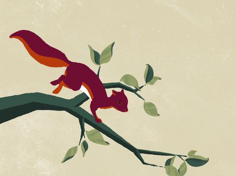 Squirrel run dribbble Squirrel Animation, Animated Squirrel, Glitch Art Photography, Cat Jumping Animation, Squirrel Running, Typography Book Layout, Mickey Drawing, Squirrel Graphic, Jump Animation