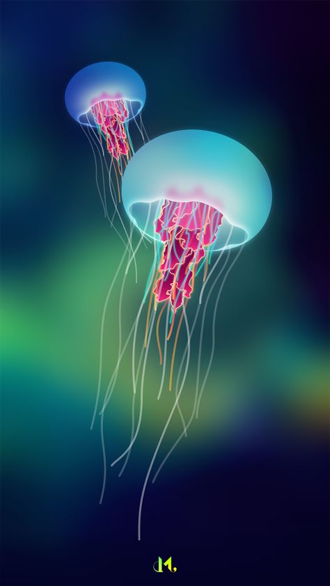 Jellyfish! on Behance Medusa Animal, Creature Marine, Jellyfish Painting, Animals Tattoo, Cnidaria, Art Trippy, Jellyfish Art, Underwater Animals, Beautiful Sea Creatures