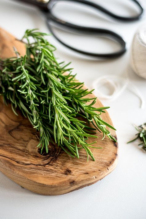 Rosemary Aesthetic, Homemade Hair Serum, Herb Photography, Rosemary Bush, Rosemary Herb, Diy Serum, Tattoo Plant, Rosemary Plant, Increase Hair Growth