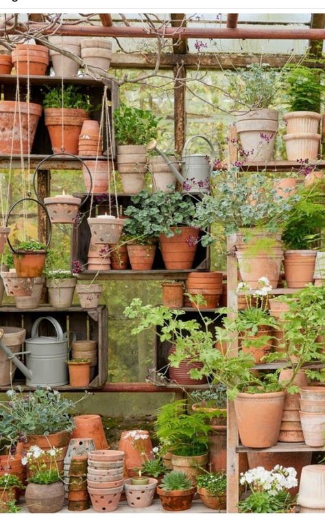 Potting Tables, Potting Sheds, Garden Containers, Potting Shed, Green House, Terracotta Pots, Clay Pots, Gardening Ideas, Cottage Core