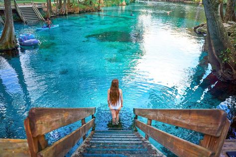 woman in white bathing suit walking down into Ginnie Springs, one of the prettiest springs in Florida Florida Springs Map, Rainbow Springs Florida, Caramel Macaroons, Natural Springs In Florida, Springs In Florida, Ginnie Springs, Florida Vacation Spots, Ocala National Forest, Florida Travel Destinations