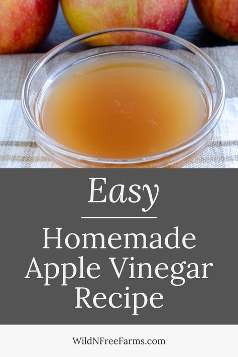 apple cider vinegar from apple scraps Diy Acv, Homemade Acv, Diy Apple Cider Vinegar, Apple Scraps, Homemade Apple Cider Vinegar, Diy Vinegar, Make Apple Cider, Diy Apple Cider, Make Apple Cider Vinegar