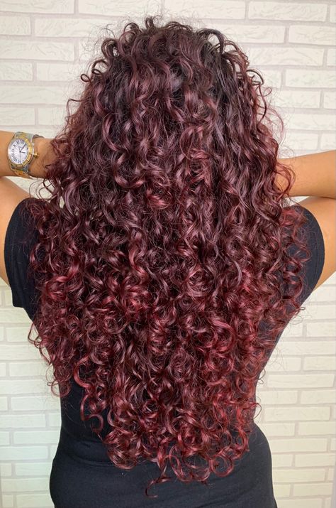 Red Color Curly Hair, Curly Hair Color Ideas Burgundy, Red Burgandy Hair Curly, Wine Curly Hair Color, Mahogany Hair Color On Curly Hair, Wine Red Hair On Curly Hair, Long Curly Colored Hair, Brown Red Balayage Curly Hair, Color Hair For Curly Hair