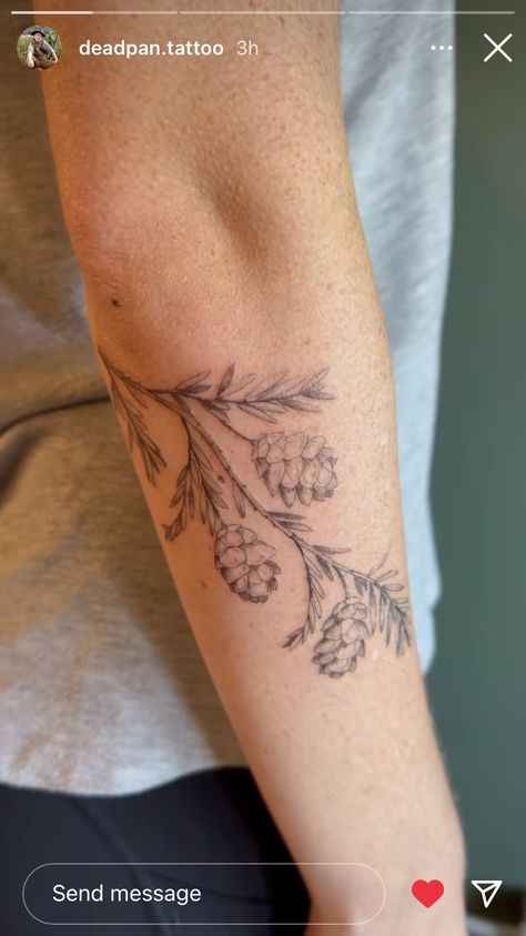 Redwood Sprig Tattoo, Hemlock Tattoo Trees, Redwood Branch Tattoo, Anatomy Nature Tattoo, Redwood Leaf Tattoo, Pine Tree Back Tattoo, Park Ranger Tattoo, Hickory Tree Tattoo, Eastern Hemlock Tattoo