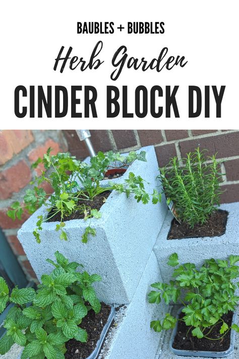 Cylinder Block Planter, Gardening With Cinder Blocks, Cinder Blocks Garden, Old Cinder Block Ideas, Cinder Block Herb Garden Ideas, Cinder Block Herb Garden, Center Block Garden Ideas, Cinder Block Garden Planters, Alley Garden