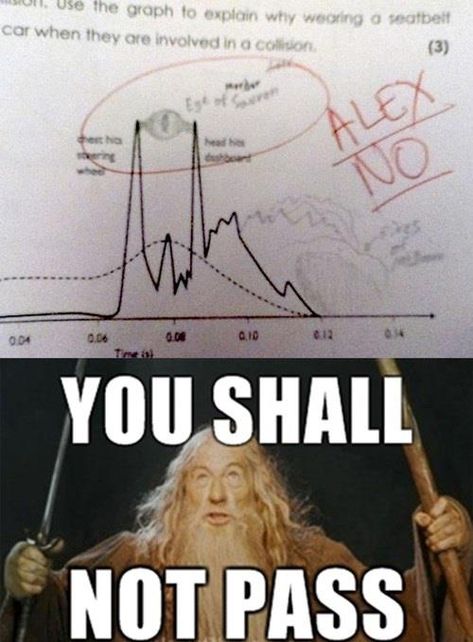 Funny Test Answers, Lord Of The Ring, Laughing Funny, Lotr Funny, You Shall Not Pass, Funny Test, One Does Not Simply, Thranduil, Funny Lol