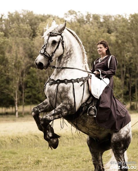 1st medieval festival of Carspach. #DraftHorse #Horse Friesian Horse, Medieval Horse Tack, Medieval Saddle, Medieval Horses, Medieval Horse, Medieval Festival, Horse Costumes, Riding Hats, Most Beautiful Horses