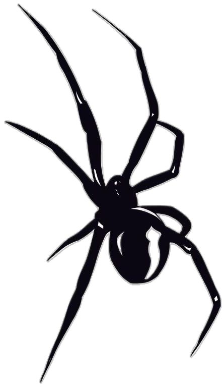 Spider Design Tattoo, Black Widow Tattoos, Easy Graffiti Letters, Spider Stencil, Spider Silhouette, Painting Feathers, Black Widow Tattoo, Easy Graffiti, Spider Drawing