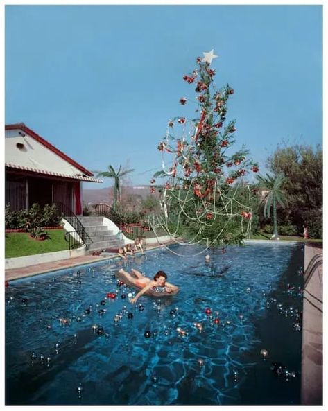 Christmas tree in a pool in this 1950s vintage photo from 1957. See more vintage photos from the 1920s-1960s of Tropical / Warm Christmas Photos at the Vintage Inn Blog. Slim Aaron, Slim Aarons Photos, Holiday Magazine, Richard Neutra, Slim Aarons, Tropical Christmas, 1950s Style, Warm Christmas, Saint Tropez