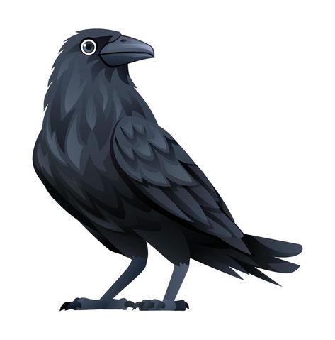 Raven Cartoon Bird, Cartoon Raven Bird Drawing, How To Draw Raven, Crow Digital Art, Crow Cartoon Drawing, How To Draw Crow, Raven Character Design, Cute Crow Drawing, Crow Character Design