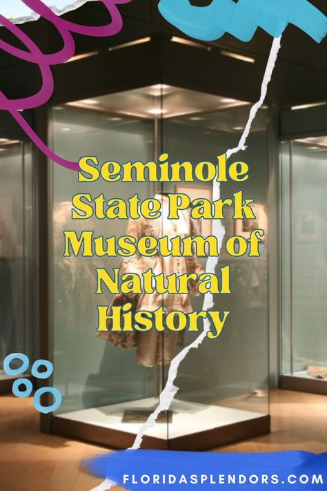 Welcome to the Seminole State Park Museum of Natural History in Sanford, Florida! Nature, History, State Parks, Florida, Sanford Florida, Museum Of Natural History, Natural History, State Park, A Place