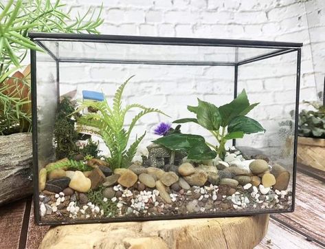 You can make either an open or closed terrarium in a few easy steps. You will need a fish tank or aquarium and ingredients to form a base layer, along with soil, plants, decorations, and a cover if you're using one. Terrariums need water and filtered sunlight to thrive. Fish Tank Plant Terrarium, How To Make A Terrarium, Making A Terrarium, Terrarium Base, Fish Tank Garden, Make A Terrarium, Tank Terrarium, Terrarium Tank, Closed Terrarium