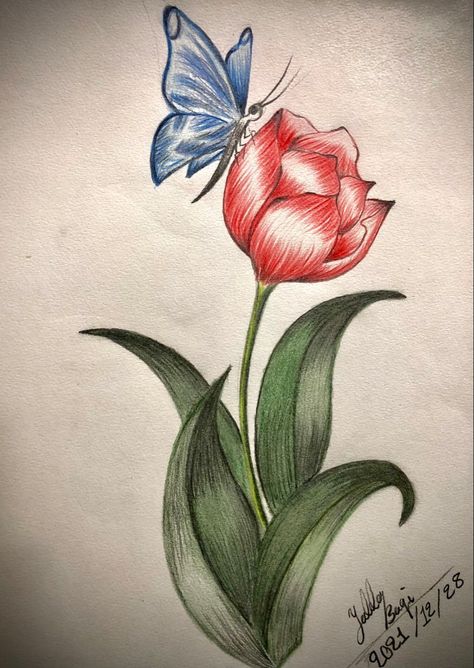 Easy Color Pencil Drawings For Beginners, Butterfly On Flower Drawing, Flower And Butterfly Drawing, Butterfly And Flower Drawing, Orchid Drawing, Tulip Drawing, Color Pencil Sketch, Desen Realist, Color Drawing Art