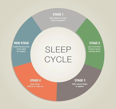 Sleep Cycle Chart, Sleep Clinic, Stages Of Sleep, Sleep Studies, Rem Sleep, Adequate Sleep, Sleep Health, Restorative Sleep, Sleep Cycle